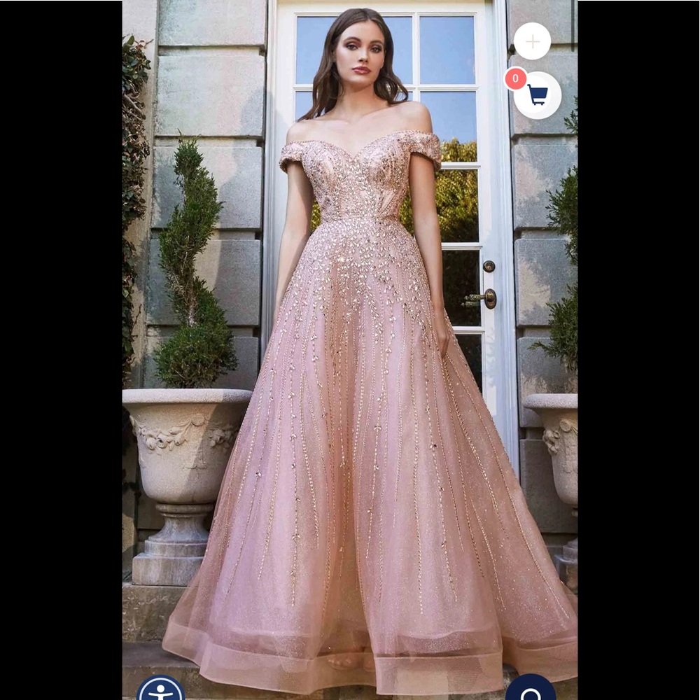 Cinderella Divine gown